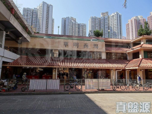 華明邨 頌明樓 (5座) - 28NTS – 香港北部都會區