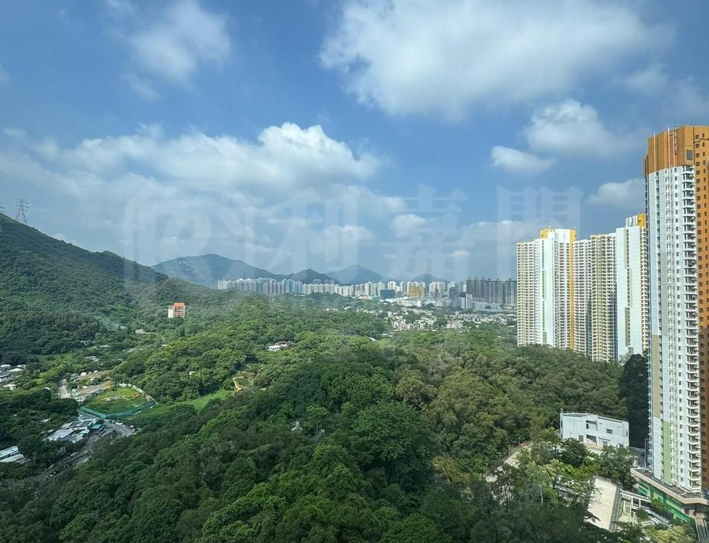 山麗苑 F座 - 28NTS – 香港北部都會區