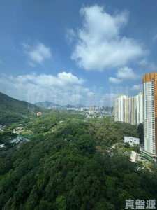 山麗苑 F座 - 28NTS – 香港北部都會區