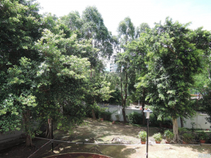 帝琴灣 凱琴居 16座 - 28NTS – 香港北部都會區