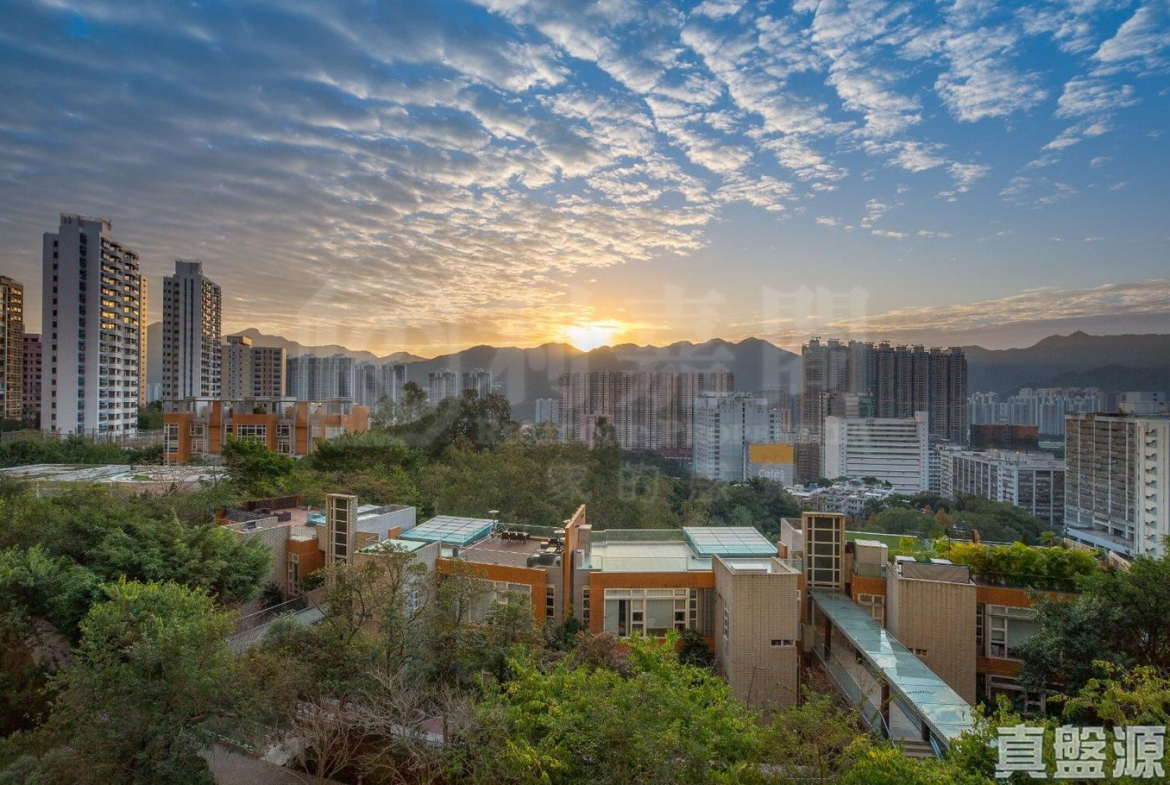 晉名峰 D座 - 28NTS – 香港北部都會區