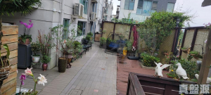 山頂花園 - 28NTS – 香港北部都會區