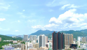 碧霞花園 皇后閣 (3座) - 28NTS – 香港北部都會區