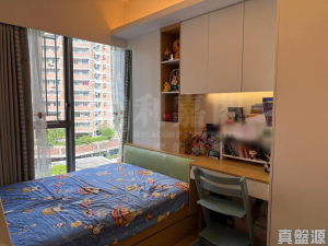 富．盈門 1座 - 28NTS – 香港北部都會區