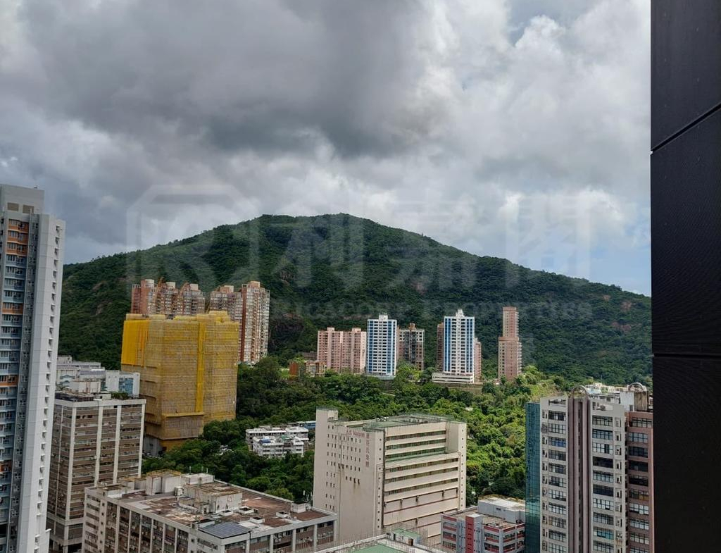 星凱．堤岸 2座 - 28NTS – 香港北部都會區
