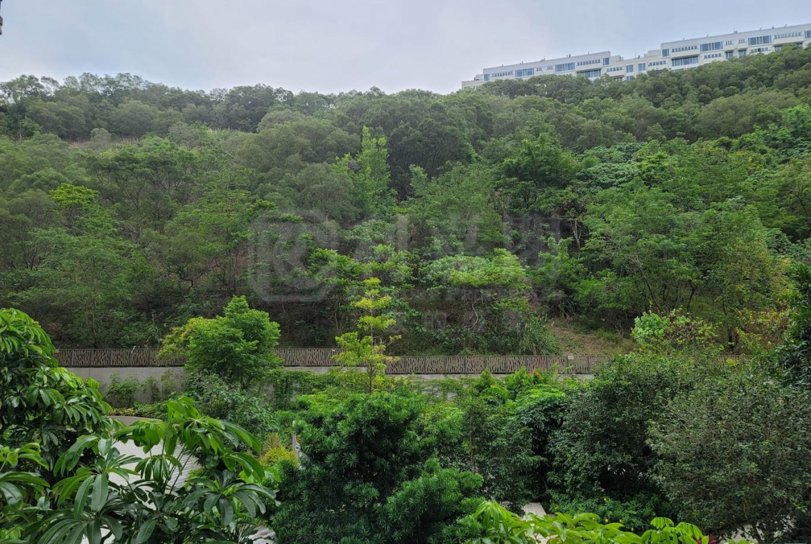 玖瓏山 傲瓏閣 第2座 - 28NTS – 香港北部都會區