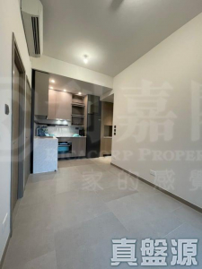 SILICON HILL 1期 翠景閣 第3座 - 28NTS – 香港北部都會區