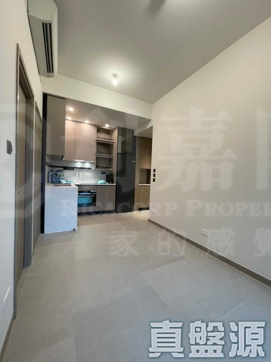 SILICON HILL 1期 翠景閣 第3座 - 28NTS – 香港北部都會區