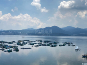 比華利山別墅 3期 - 28NTS – 香港北部都會區