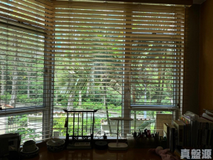 倚龍山莊 21座 - 28NTS – 香港北部都會區