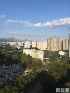 新峰花園 4期 御峰豪園 31座 - 28NTS – 香港北部都會區