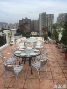 新峰花園 4期 御峰豪園 31座 - 28NTS – 香港北部都會區