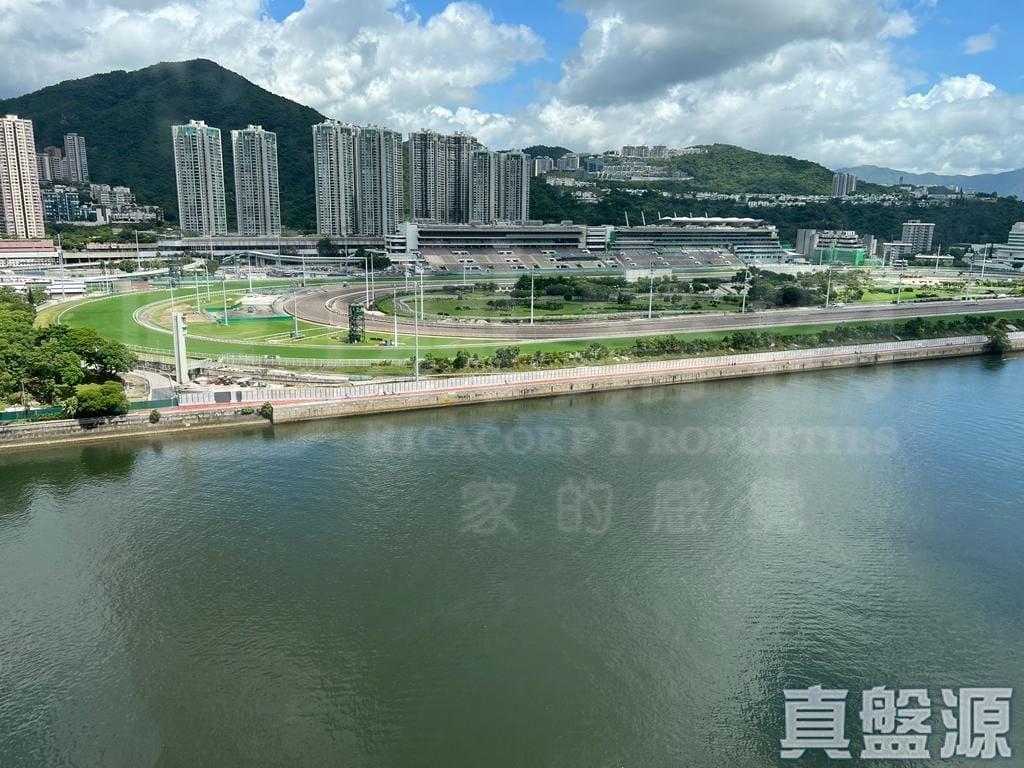 碧濤花園 1期 雅碧閣 (1座) - 28NTS – 香港北部都會區