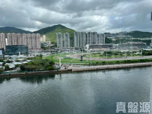 碧濤花園 1期 雅碧閣 (1座) - 28NTS – 香港北部都會區