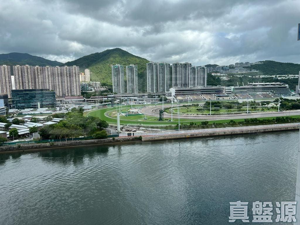 碧濤花園 1期 雅碧閣 (1座) - 28NTS – 香港北部都會區