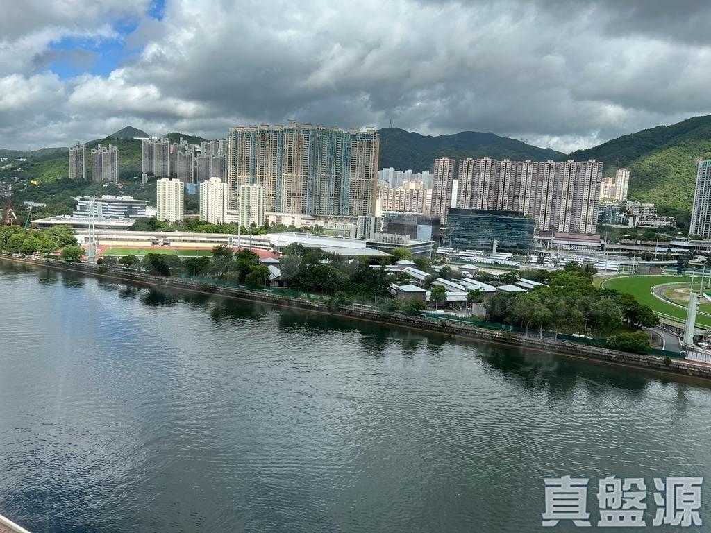 碧濤花園 1期 雅碧閣 (1座) - 28NTS – 香港北部都會區