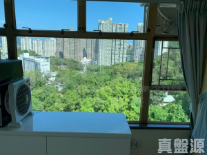 新峰花園 4期 御峰豪園 31座 - 28NTS – 香港北部都會區
