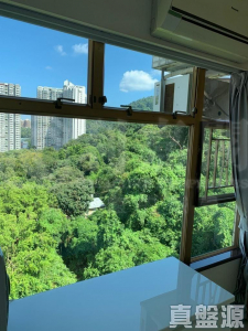 新峰花園 4期 御峰豪園 31座 - 28NTS – 香港北部都會區