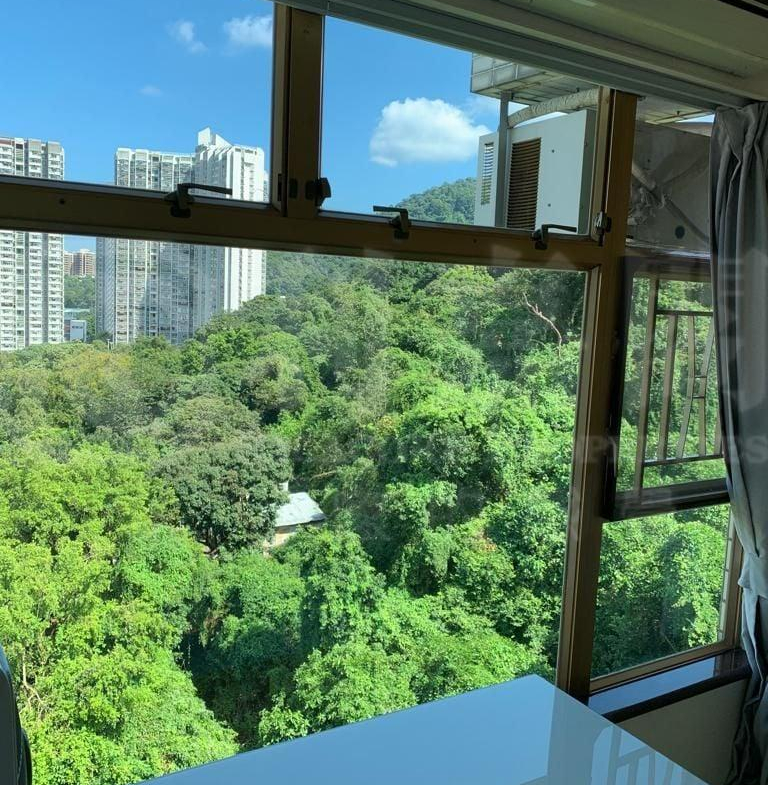 新峰花園 4期 御峰豪園 31座 - 28NTS – 香港北部都會區