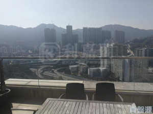 壹號雲頂 1期 8座 - 28NTS – 香港北部都會區