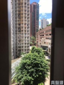 愉翠苑 愉居閣 (J座) - 28NTS – 香港北部都會區