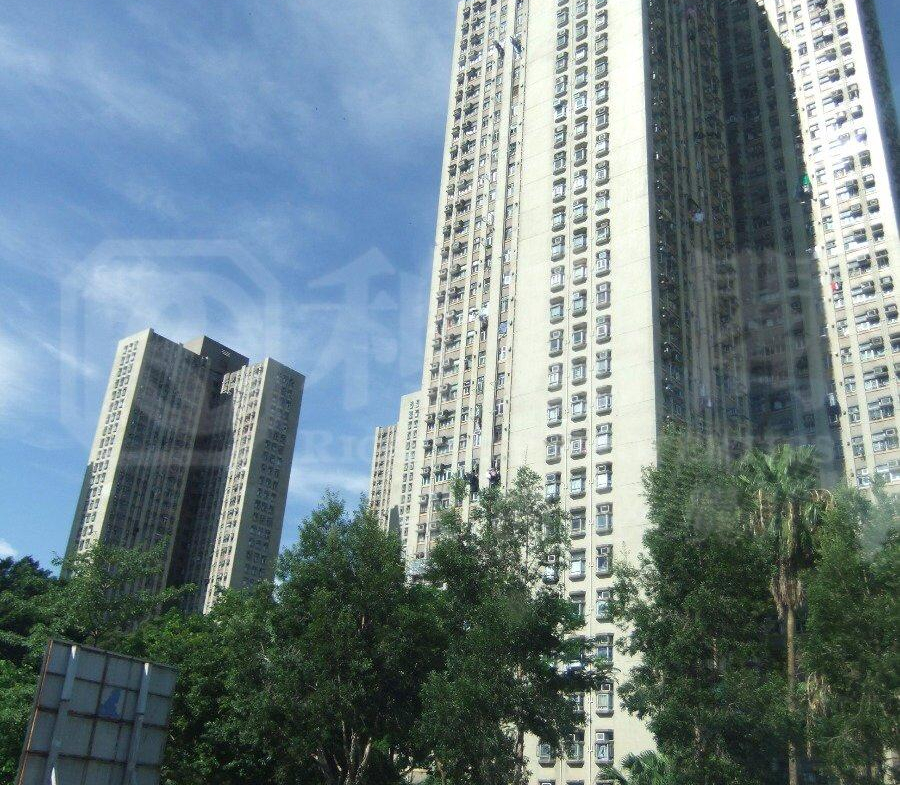 彩蒲苑 彩晶閣 (B座) - 28NTS – 香港北部都會區