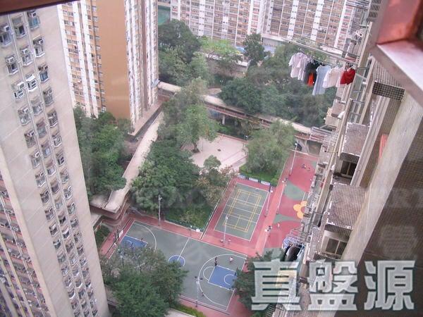 彩蒲苑 彩晶閣 (B座) - 28NTS – 香港北部都會區