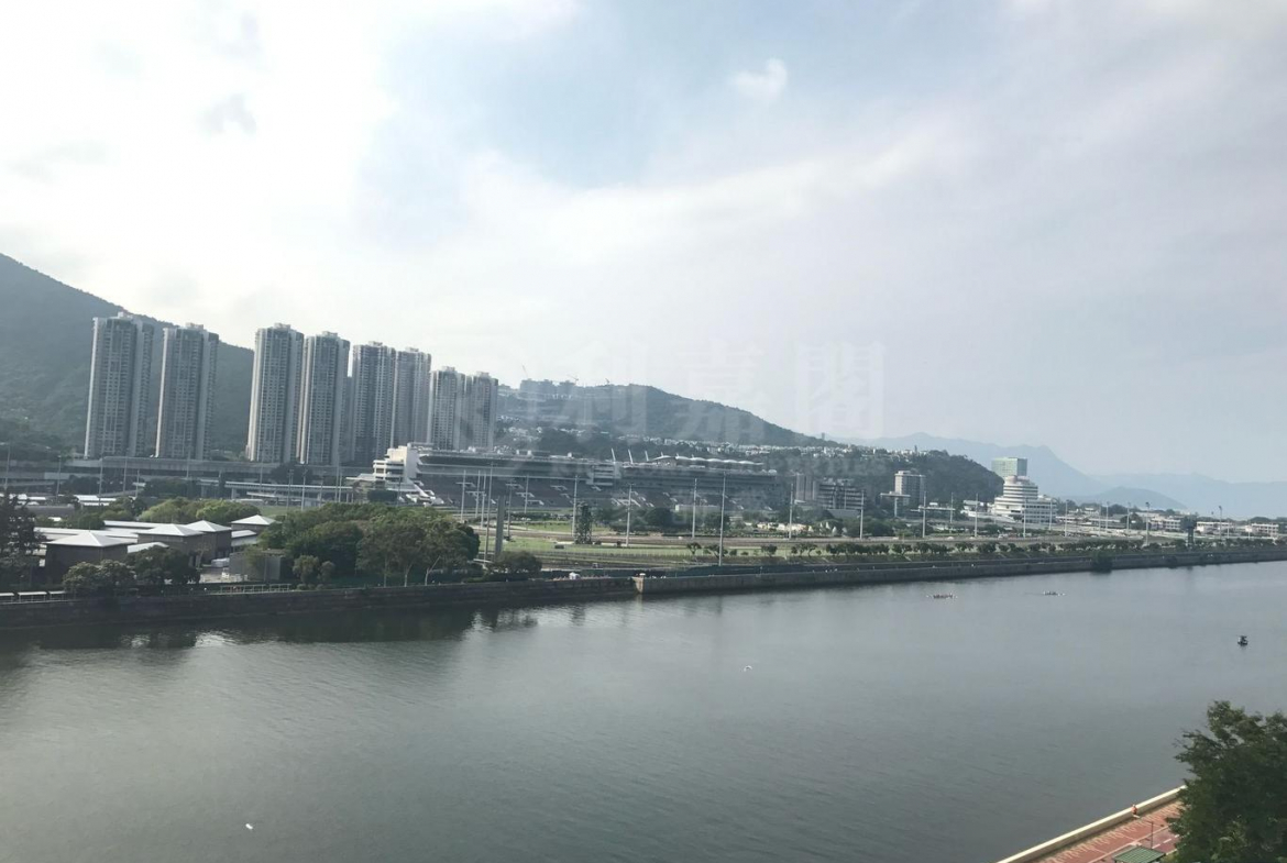 翠湖花園 1期 B座 - 28NTS – 香港北部都會區