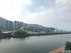 翠湖花園 1期 B座 - 28NTS – 香港北部都會區