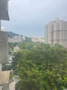 大埔中心 5期 17座 - 28NTS – 香港北部都會區