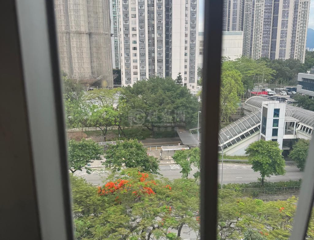 大埔中心 5期 17座 - 28NTS – 香港北部都會區