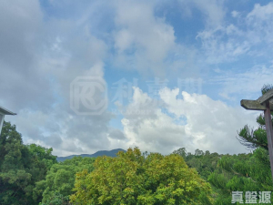 雅景花園 - 28NTS – 香港北部都會區
