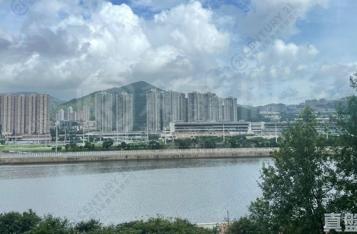 碧濤花園 2期 怡景閣 (C座) - 28NTS – 香港北部都會區