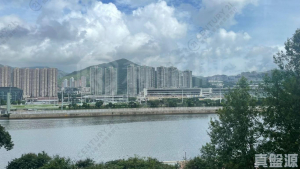 碧濤花園 2期 怡景閣 (C座) - 28NTS – 香港北部都會區