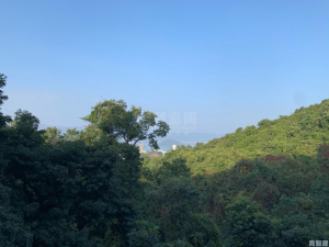 澐灃 1座 - 28NTS – 香港北部都會區
