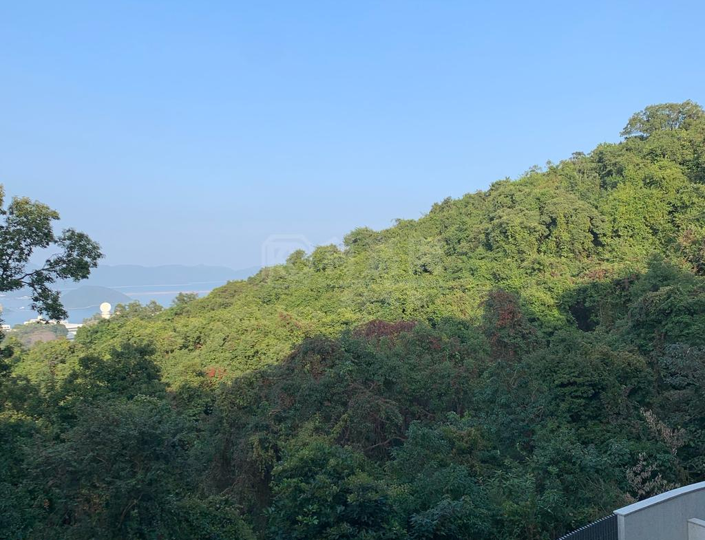 澐灃 1座 - 28NTS – 香港北部都會區