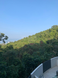 澐灃 1座 - 28NTS – 香港北部都會區