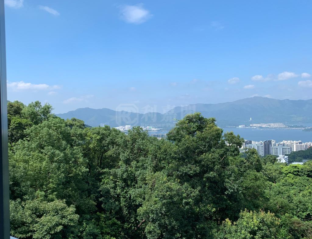 澐灃 1座 - 28NTS – 香港北部都會區