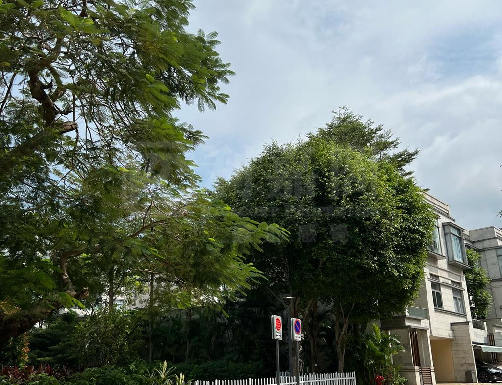 歌賦嶺 - 28NTS – 香港北部都會區