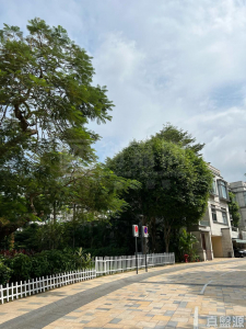 歌賦嶺 - 28NTS – 香港北部都會區
