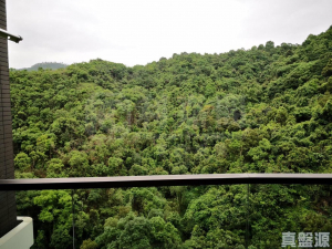 玖瓏山 天瓏閣 第2座 - 28NTS – 香港北部都會區