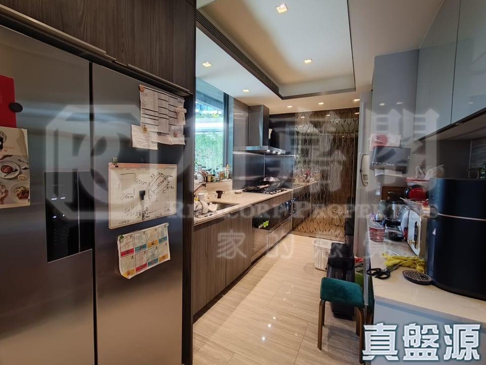 富豪‧山峯 - 28NTS – 香港北部都會區