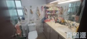 寶樹花園 1期 22B號 - 28NTS – 香港北部都會區