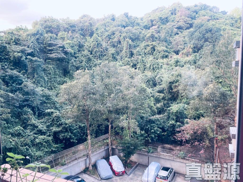 愉景花園 C座 - 28NTS – 香港北部都會區
