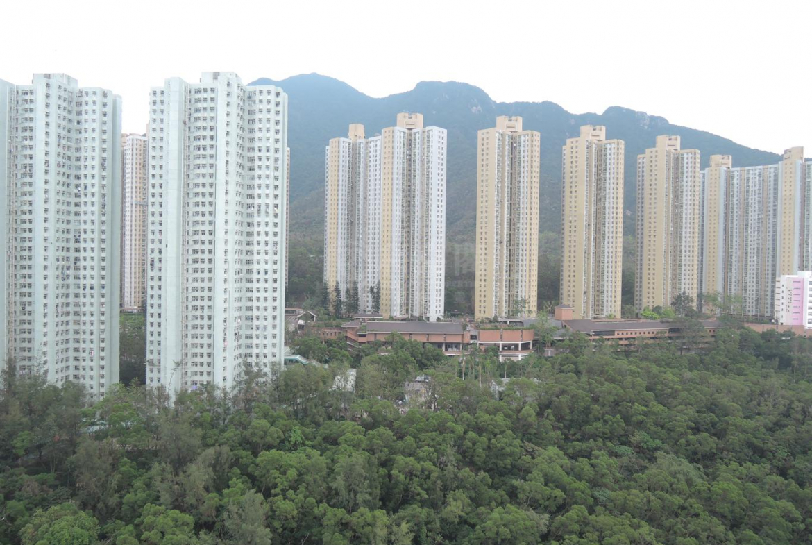 薈朗 2座 - 28NTS – 香港北部都會區