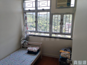 寶雅苑 興和閣 (B座) - 28NTS – 香港北部都會區