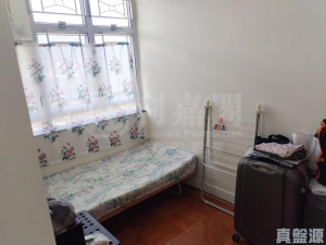 寶雅苑 興和閣 (B座) - 28NTS – 香港北部都會區