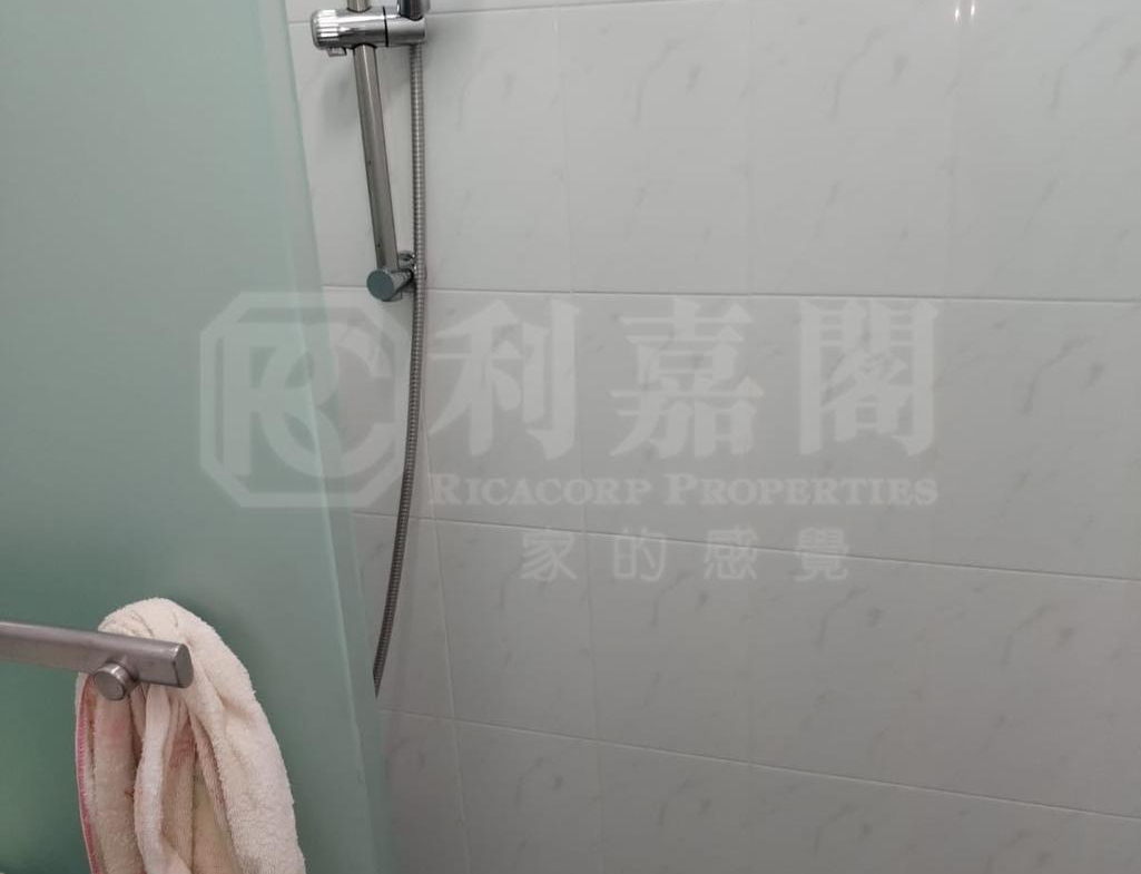 寶雅苑 興和閣 (B座) - 28NTS – 香港北部都會區