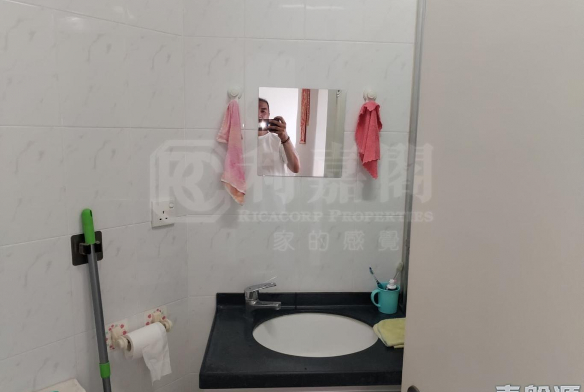 寶雅苑 興和閣 (B座) - 28NTS – 香港北部都會區