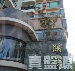 顯峯 - 28NTS – 香港北部都會區